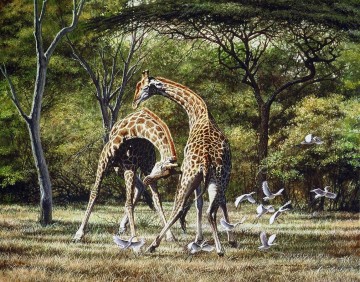  birds Oil Painting - duelling giraffes and birds